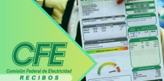 ¡Desde tu celular! Así puedes consultar tu recibo de luz y reportar fallas desde tu app de Telegram