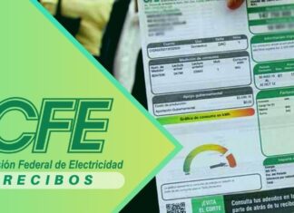 ¡Desde tu celular! Así puedes consultar tu recibo de luz y reportar fallas desde tu app de Telegram