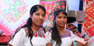 Mujeres con discapacidad, indígenas, niñas y adultas mayores, las más vulnerables ante la violencia