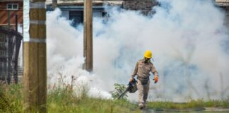 Arranca en Coatzacoalcos “Segunda jornada de eliminación masiva de criaderos del mosquito transmisor del dengue”