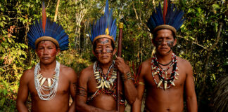 Los indígenas brasileños se organizan políticamente en busca de la representación parlamentaria