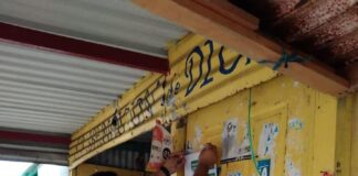 Invita Ayuntamiento de Coatzacoalcos a contribuir en la lucha contra el dengue