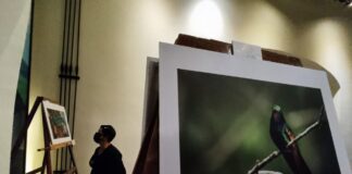 Presenta Museo del Café en Córdoba exposición “30 Fotógrafos y 30 Empresarios por la Biodiversidad del Bosque de Niebla”