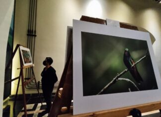 Presenta Museo del Café en Córdoba exposición “30 Fotógrafos y 30 Empresarios por la Biodiversidad del Bosque de Niebla”