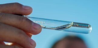 Minatitlán refuerza acciones preventivas para la eliminación de criaderos del mosquito transmisor del dengue en panteones