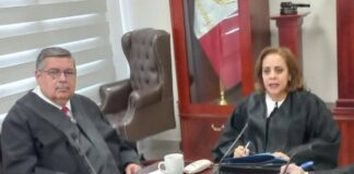 Yolanda de la Torre, diputada que planteó prolongar al Ejército en las calles, es elegida magistrada