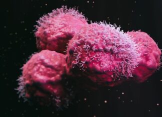 ¿Aceleran los hongos el crecimiento de los tumores?