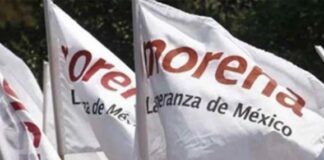 Mujer u hombre podría ser candidato a la gubernatura de Veracruz: dirigente estatal de MORENA