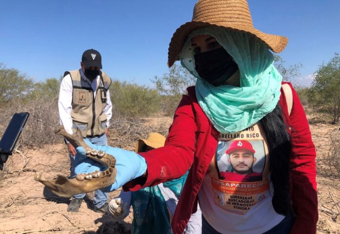 Localizan unos 18 cuerpos cubiertos con cal en fosas clandestinas en Sonora