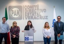 Gobierno Estatal debe reestructurar estrategia de seguridad, ante nulos resultados: PAN Veracruz