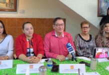 Consulta sobre tala de arboles en Avenida Lázaro Cárdenas carece de fundamentos: PT Veracruz