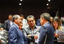 Aprobamos 117 mil millones para Veracruz: Sergio Gutiérrez Luna