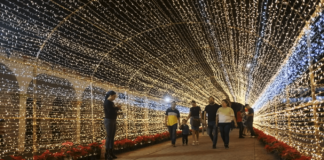 Medellín Villa Mágica: Tradición Navideña en Arboleda San Ramón Villa Mágica de Medellín de Bravo, Veracruz.