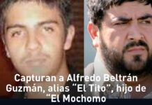 CAPTURAN A “EL TITO”, HIJO DE ALFREDO BELTRÁN LEYVA El Tito, hijo de Alfredo Beltrán Leyva