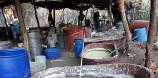 Desmantelan narcolaboratorio en Michoacán Narcolaboratorio asegurado en Apatzingan, Mich. (LaJornadaOnline)