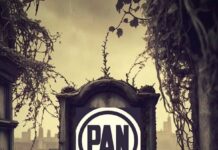 Las González de Minatitlán y el negocio familiar de las regidurías, llevan a la tumba al PAN Las González sepultan al PAN en Minatitlán.