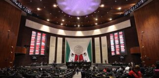 Diputados avalan prohibir la venta de bebidas energéticas a menores de edad El dictamen fue enviado al Senado para su análisis y discusión