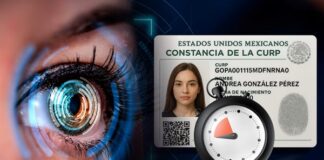 CURP Biométrica, inicia la cuenta regresiva Expertos alertan sobre riesgos de seguridad en manejo de datos personales