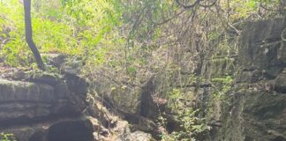 Ecoturismo La Raya de Uxpanapa, gestión exitosa del Plan de Justicia Chinanteco Decenas de ejidatarios son beneficiados