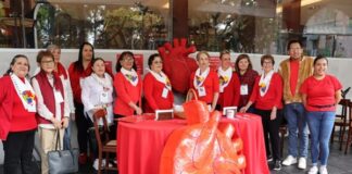 Pueden evitarse 80 por ciento de enfermedades cardiovasculares: “Cada corazón cuenta” Infartos primera causa de muerte