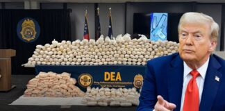 DEA ‘golpea’ al CJNG con decomiso de 39 millones de dólares: ‘Continuaremos hasta que sean derrotados’ La DEA va por “El Mencho”
