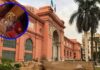 Detienen a 4 por robo de joya de la época faraónica, la fundieron para despistar Roban en Egipto joya de época faraónica
