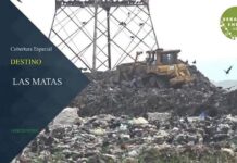 PROFEPA clausura «Las Matas»; se exhibe irregular destino de 200 mdp y la farsa de “Utopía Floreciendo”