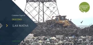 PROFEPA clausura «Las Matas»; se exhibe irregular destino de 200 mdp y la farsa de “Utopía Floreciendo”