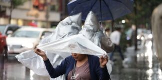 Pronostican lluvias intensas en varias regiones del país por sistemas de baja presión y circulación ciclónica El SMN pronóstica lluvias intensas en Veracruz