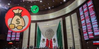 Diputados confirman reasignaciones del Presupuesto de Egresos 2026 Habrá reasignaciones al PEF-2026: Diputada Merilyn Gómez