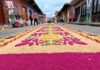 Identidad cultural en Coatepec; elaboran alfombra multicolor de aserrín Coatepec reafirma su identidad cultural