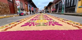 Identidad cultural en Coatepec; elaboran alfombra multicolor de aserrín Coatepec reafirma su identidad cultural