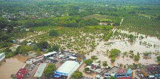 Lluvias en Veracruz, Puebla y otros estados dejan 1,200 siniestros por 550 millones de pesos: AMIS La cifra podría incrementarse en los próximos días