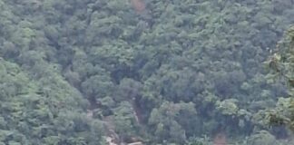 Ligero desborde En los estados afectados, desgraciadamente, ninguno tenía actualizado su atlas de riesgo