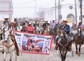 Esteban Bautista pone la muestra a lomo de bestia La SEV nunca intervino en el caso de menor agraviada