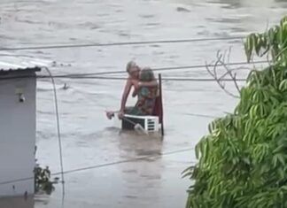 «Volvimos a nacer los dos»: el conmovedor relato de una pareja de ancianos que logró sobrevivir a las inundaciones en México Pescando en el mar aprendió a nadar en aguas abiertas, gobernadas exclusivamente por la corriente