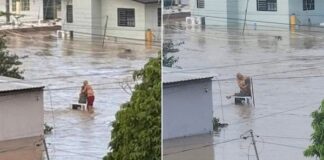 Muere ‘Doña Elodia’, adulta mayor que se viralizó abrazada a su esposo en la inundación de Poza Rica Las complicaciones de salud de Doña Elodia, fueron derivadas de haber permanecido varias horas en el agua tras el desbordamiento de río Cazones