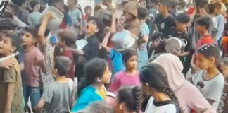 «Nos trataron como animales», denuncian activistas deportados de la flotilla para Gaza Turquía calificó el hecho como “acto terrorista”