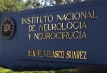 Detectan chinches en hospital de Neurología en CdMx El Hospital de Neurología en CDMX cerró temporalmente su área de urgencias por fumigación tras detectar chinche