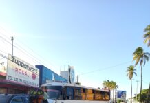 Choca camión de la ruta Alcocer-Mata de Pita en Av. Allende, Puerto de Veracruz.