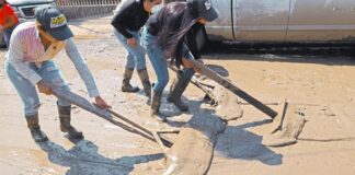 Protección Civil reporta 112 localidades que aún están incomunicadas por lluvias; 31 corresponden a Veracruz Veracruz registra 31 comunidades aisladas y 411 planteles educativos con daños