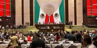 Diputados aprueban en lo general la Ley Federal de Derechos; suben costos de museos y trámites migratorios Con estas medidas se busca recaudar unos 157 mil 082 millones de pesos