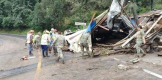 Reportan 37 muertes y daños severos en cinco estados por lluvias Continúan los trabajos para restablecer los servicios básicos, rescatar a personas atrapadas y garantizar acceso a comunidades aisladas