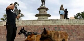 Proponen eliminar IVA a alimentos y medicinas para mascotas La iniciativa, pretende modificar la Ley del IVA e ISR, y exentar de impuestos productos y servicios veterinarios