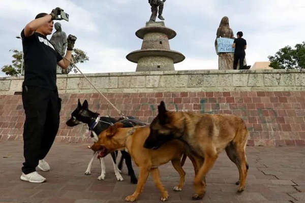 Mascotas La iniciativa, pretende modificar la Ley del IVA e ISR, y exentar de impuestos productos y servicios veterinarios