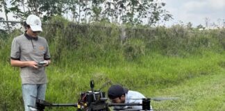 Cómo los cerdos y los insectos están ayudando a encontrar a los desaparecidos en México Utilizan desde insectos y árboles hasta cerdos