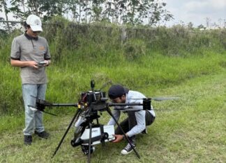 Cómo los cerdos y los insectos están ayudando a encontrar a los desaparecidos en México Utilizan desde insectos y árboles hasta cerdos
