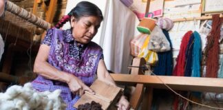 Financiamiento y capacitación, claves para fortalecer el emprendimiento femenino en el sur de México De acuerdo a la ENIF 2024, a nivel nacional solo el 36% de las mujeres tiene acceso a un crédito formal