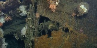 Hallaron naufragios históricos de la Segunda Guerra Mundial gracias al uso de tecnología moderna La exploración liderada por Bob Ballard documentó trece naufragios que datan de 1943