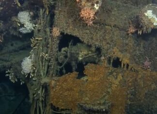 Hallaron naufragios históricos de la Segunda Guerra Mundial gracias al uso de tecnología moderna La exploración liderada por Bob Ballard documentó trece naufragios que datan de 1943